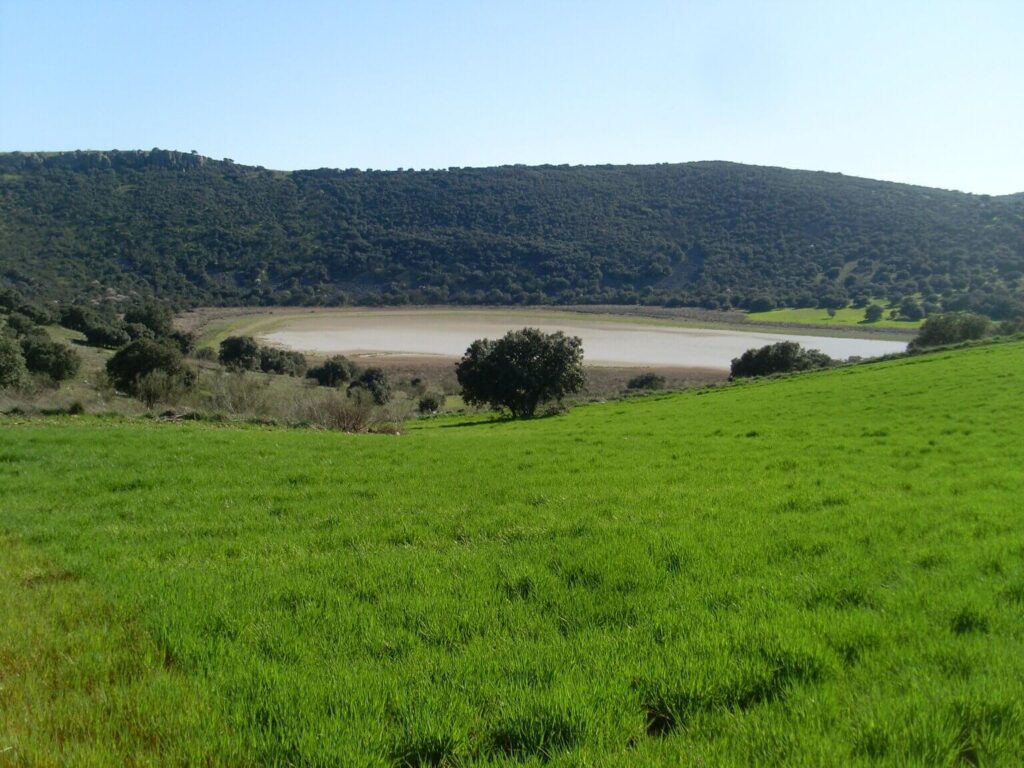 Laguna de la Posadilla