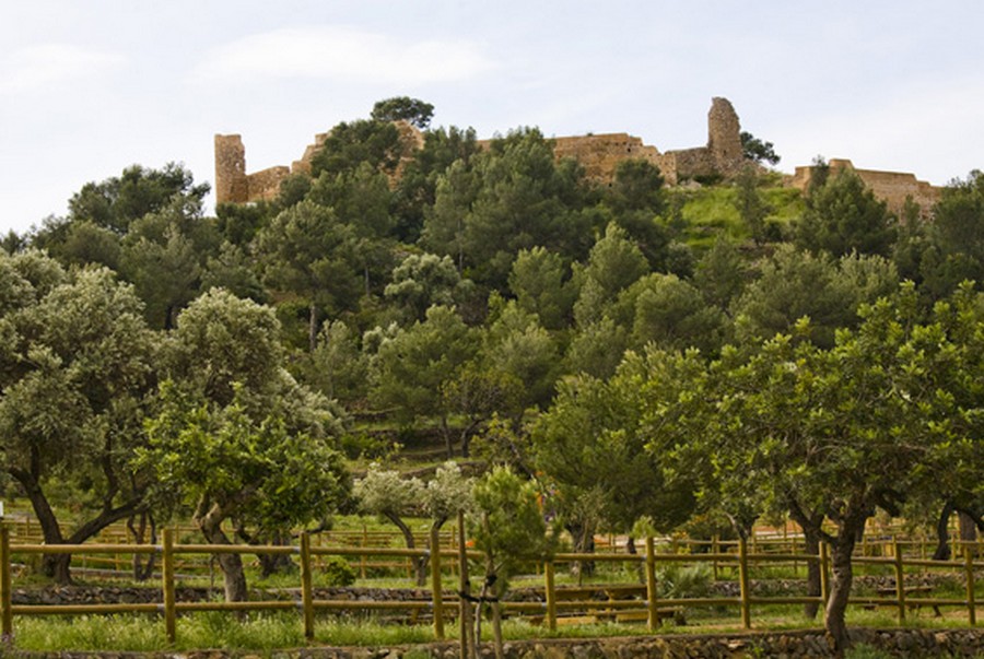 Castell Vell Castelló