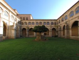 Palencia: dos rutas para disfrutar del arte románico
