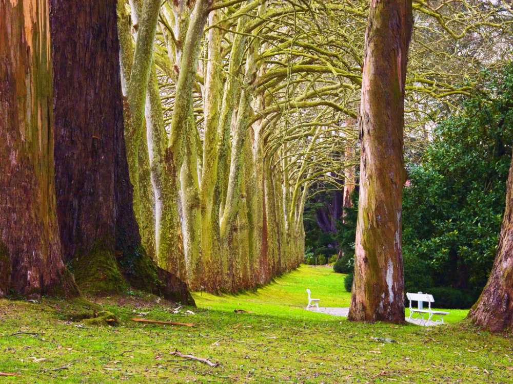 jardin botanico gijon