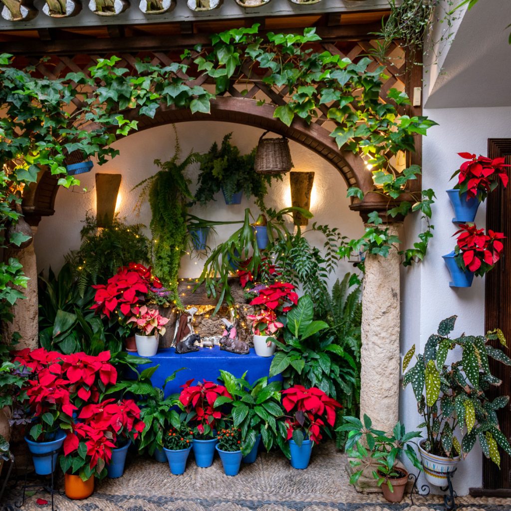 patios de cordoba